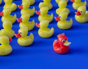 Different Is Better Than Better: What Fast-Growing Bootstrapped Companies Taught Me About Standing Out