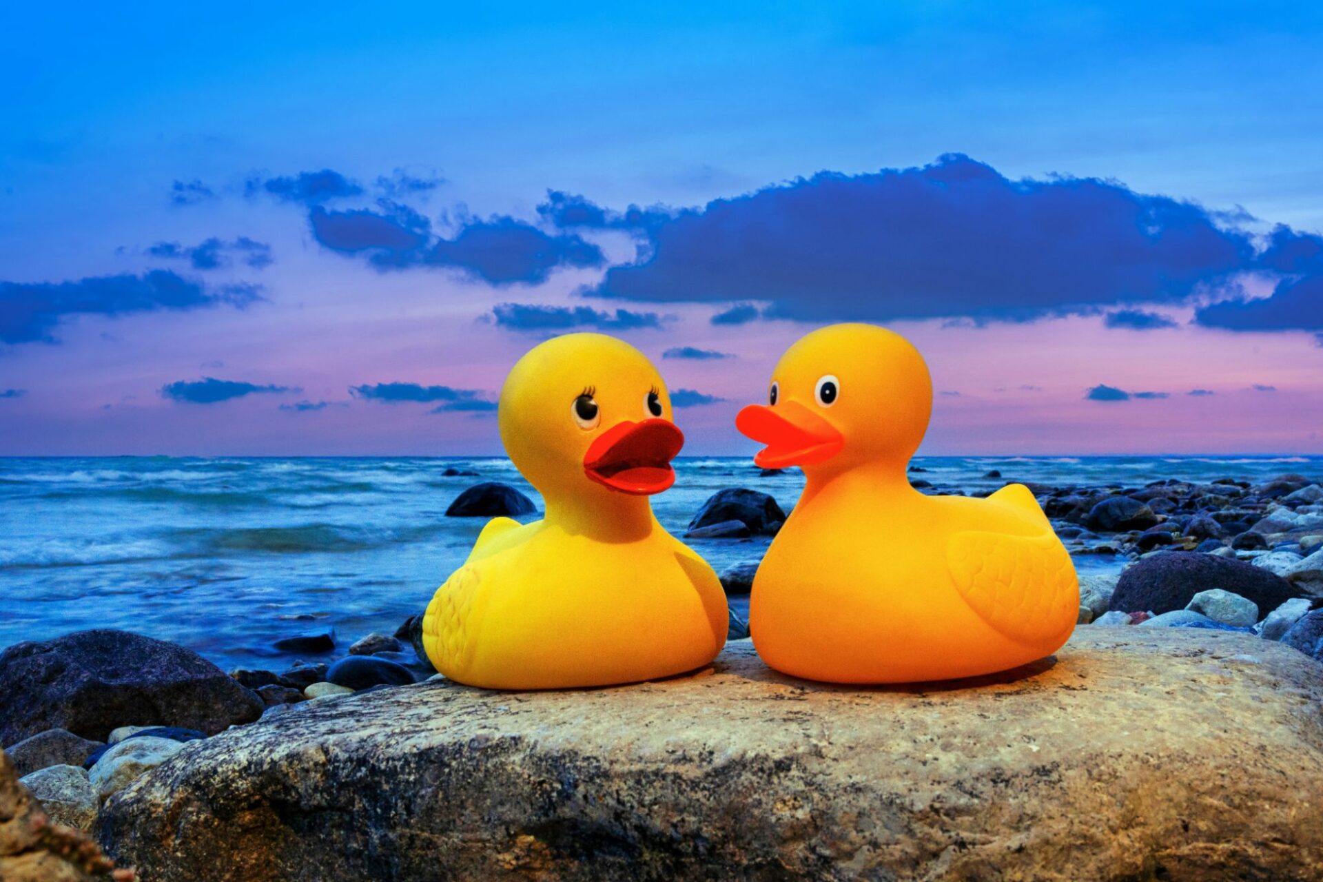 Two yellow rubber ducks facing each other on a rock by the ocean, as if in conversation.