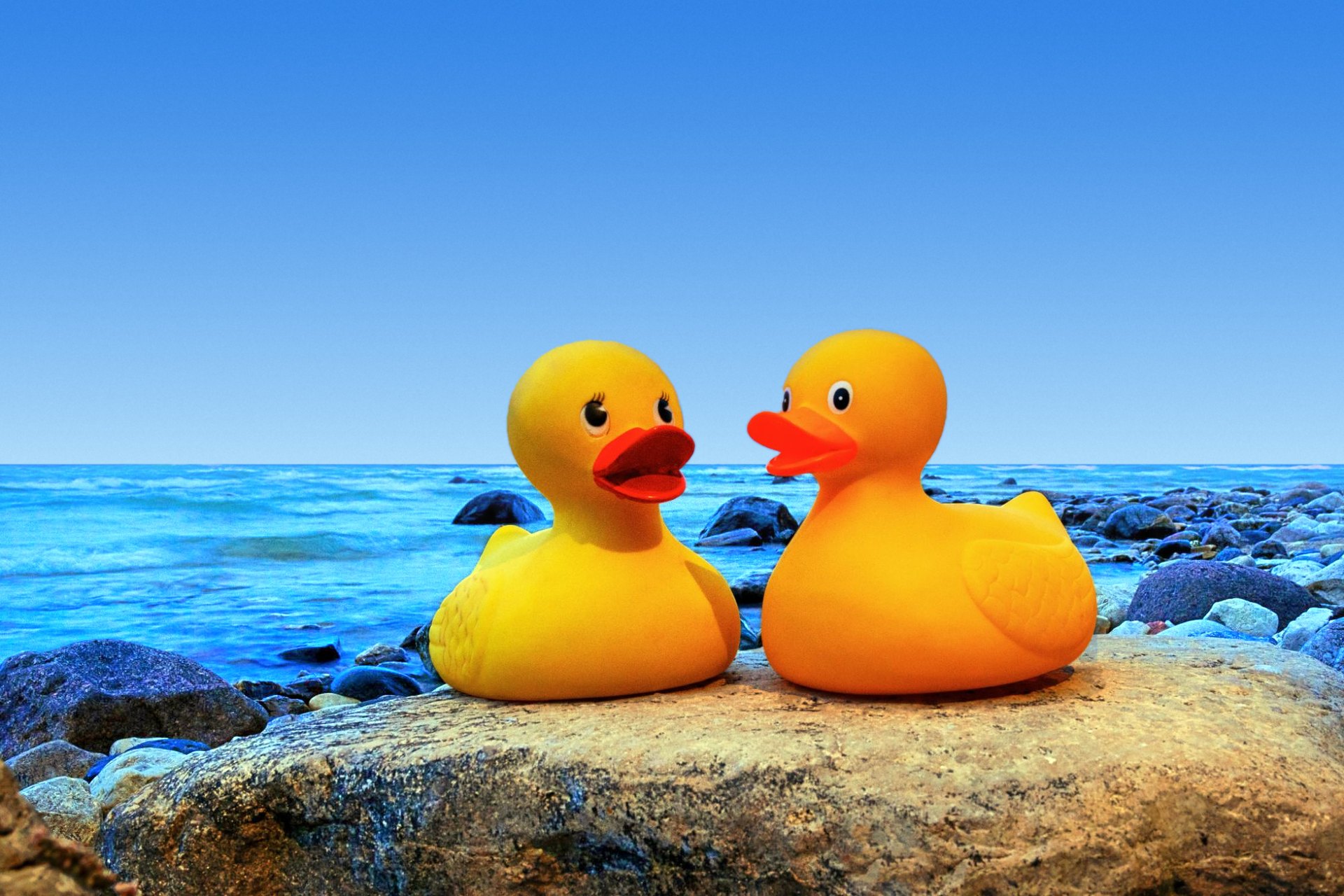 Two yellow rubber ducks facing each other on a rock by the ocean under a clear blue sky, as if in conversation.